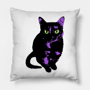 A Witches Cat Pillow