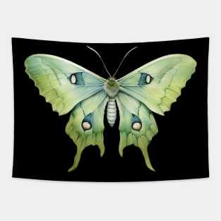 Lunar Moth Tapestry