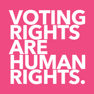 Voting Rights are Human Rights (on Hot Pink) T-Shirt