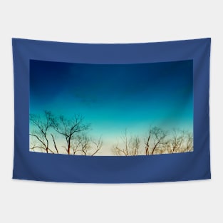 Leafless Tree Ombre Sky Tapestry