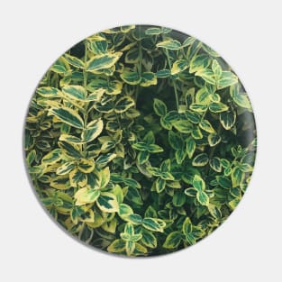 Green & Yellow Garden Leaves Pin