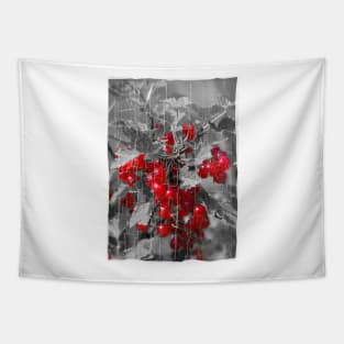 Redcurrant Tapestry