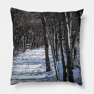 Trail through the trees. Pillow