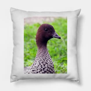 Australian Wood Duck Pillow