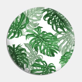 Monstera Deliciosa Pin