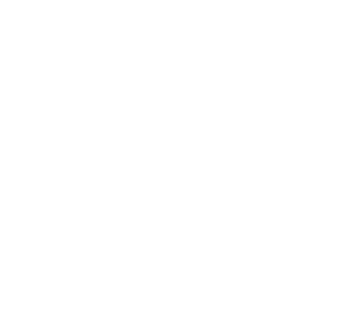 Very Fake News Magnet