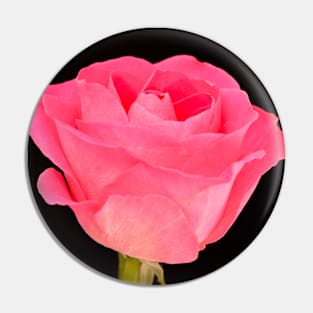 Single Pink Rose Pin