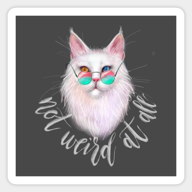 White Maine Coon Cat With Different Colored Eyes And Calligraphy