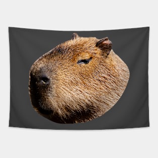 Capybara Profile Tapestry