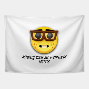 "Actually there are 4 states of matter"  Nerd Design Tapestry