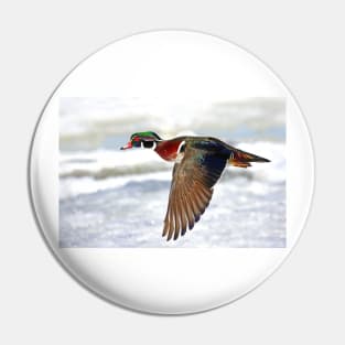 Colourful flight - Wood Duck Pin