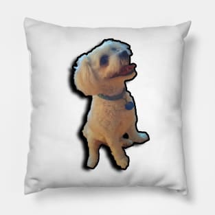 Dog Design Pillow