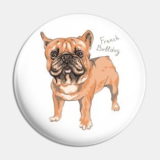 French Bulldog Pin