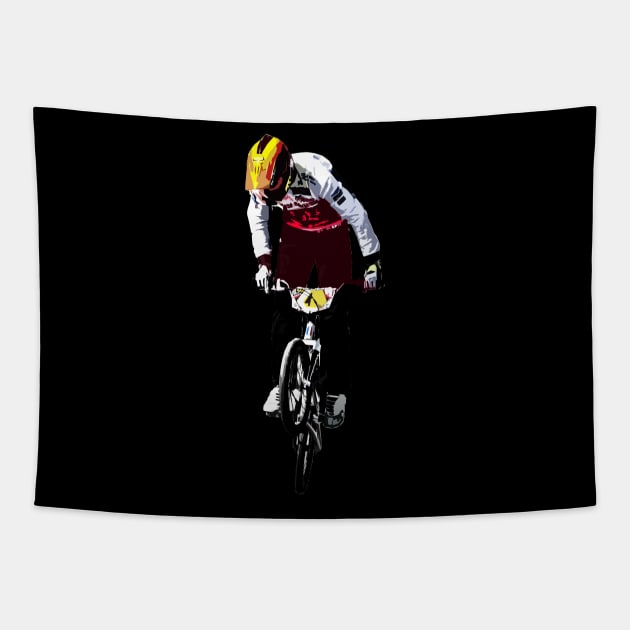 bmx Tapestry by rickylabellevie