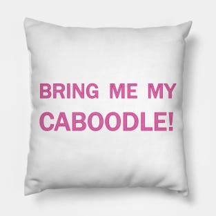 Bring me my caboodle! Pillow