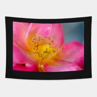 Open Pink Rose Tapestry