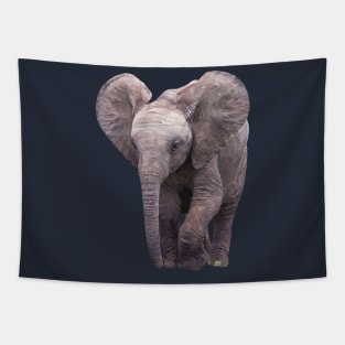 Elephant Tapestry