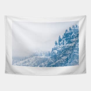 Winter Snow on Mountain Forest in Fog Tapestry