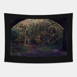 Old Railway Line Bridge Tapestry