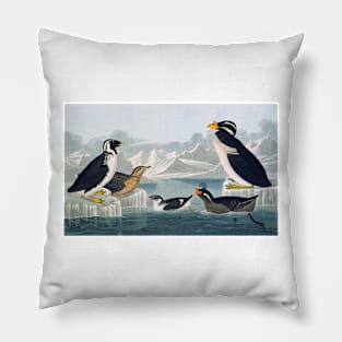 Group of auks and auklets, artwork (C011/2992) Pillow