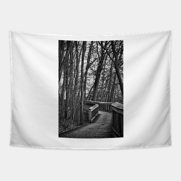 Wooden Walkway In The Woods Tapestry by KirtTisdale