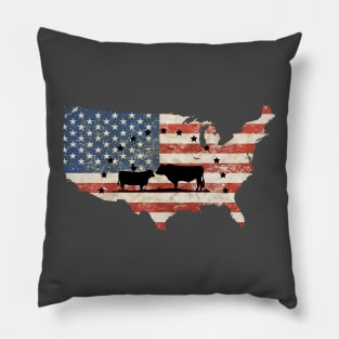 USA beef Pillow