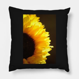 Sunflower, Sunflower Pillow