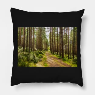 Winding Walks Fochabers Scotland Pillow