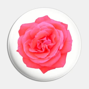 Pink rose Pin