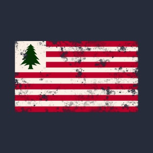 New England flag - modern take T-Shirt