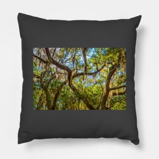 Cumberland Island National Seashore Pillow