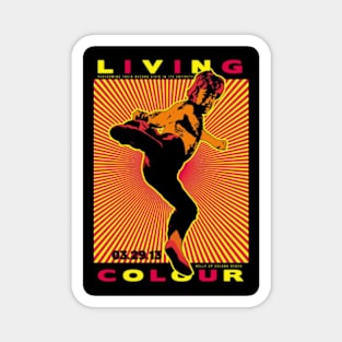 LIVING COLOUR MERCH VTG Magnet