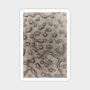 Volcanic Rock Pattern Magnet