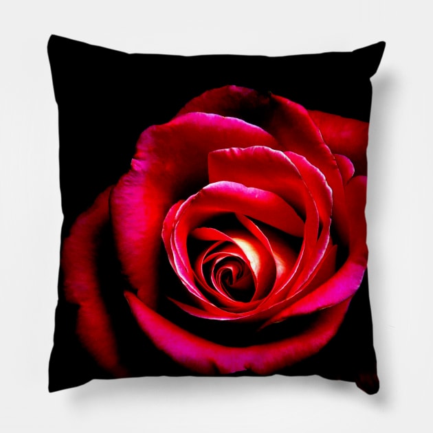 Red Rose Gift Pillow by Pine Hill Goods