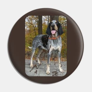 BLUETICK COONHOUND Pin