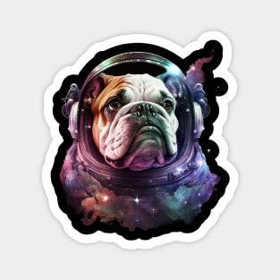 bulldog Magnet