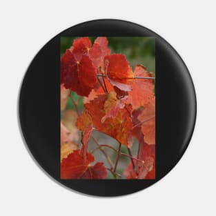 Autumnal Vine Leaves by Avril Thomas Pin