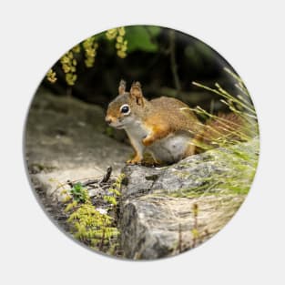 Red Squirrel Pin