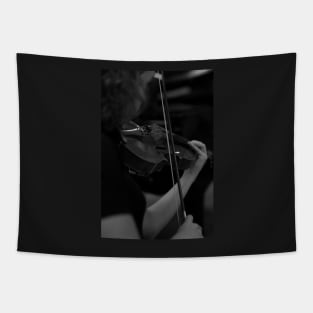 Violin Tapestry