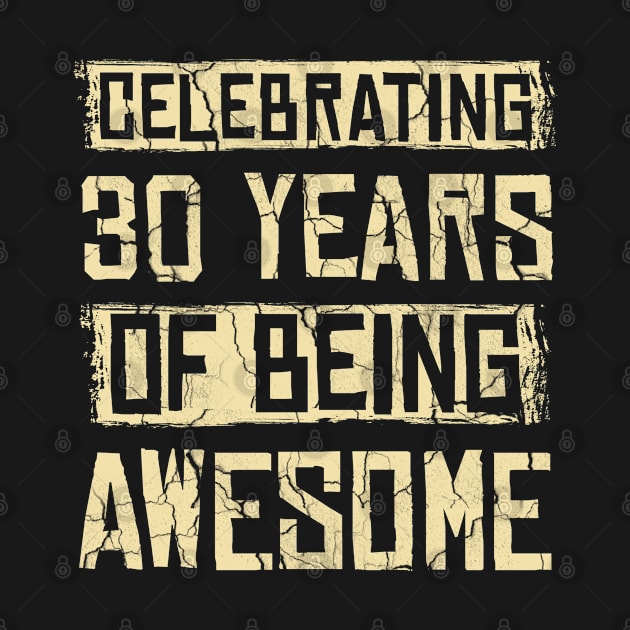 Celebrating 30 Years Awesome by Cooldruck