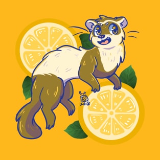 Orange Ferret Splash T-Shirt