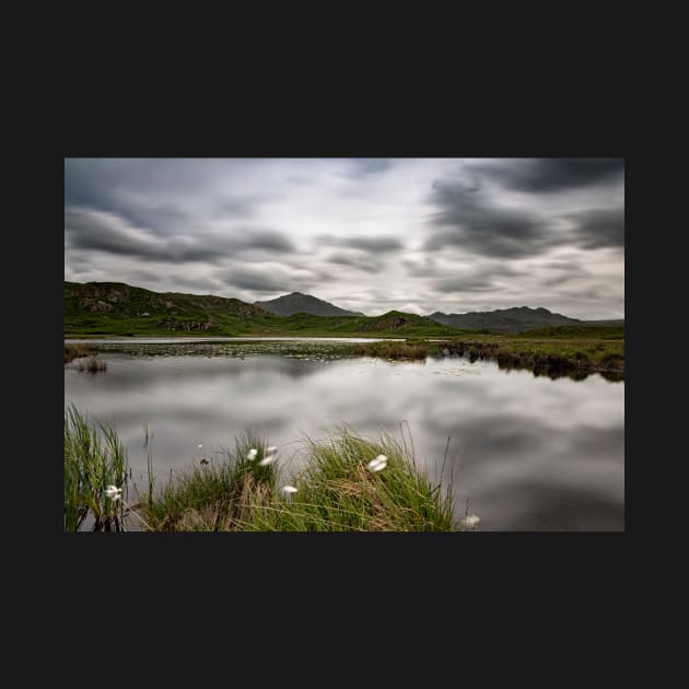 Eel Tarn - Eskdale by Reg-K-Atkinson