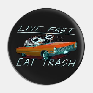 Copy of Cute Live Fast Eat Trash, live fast eat trash funny Pin