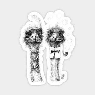 Mr and Mrs Ostrich Magnet