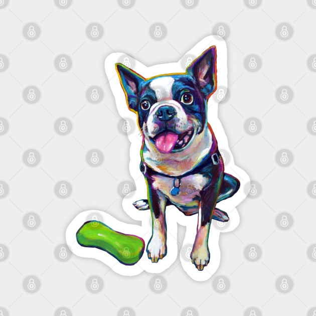 BOSTON TERRIER WITH TOY Magnet by RobertPhelpsArt