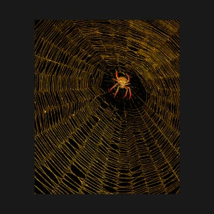 Halloween spider T-Shirt T-Shirt