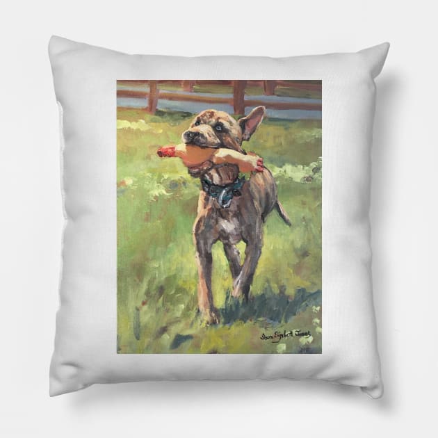 Beaner and his Beloved Chicken Pillow by Susan1964