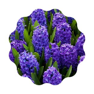 Purple Hyacinth Flower Clusters T-Shirt