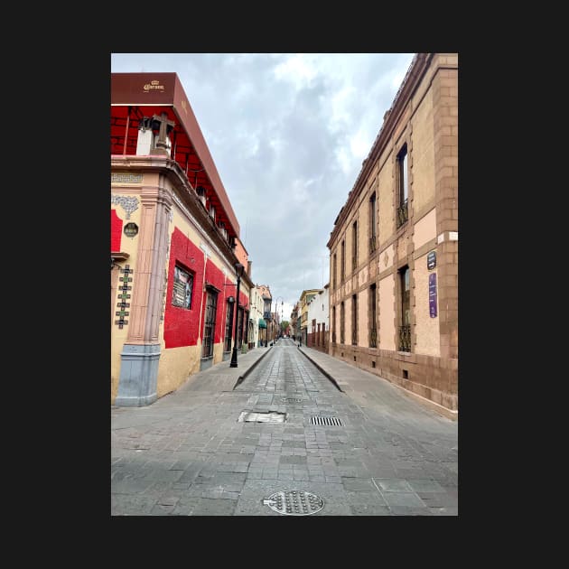 Street in Potasi, Mexico by ephotocard
