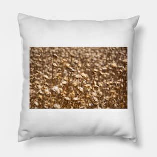 Seed heads. Pillow